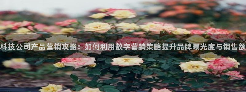 金年会金字招牌
