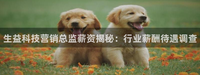 金年会VIP