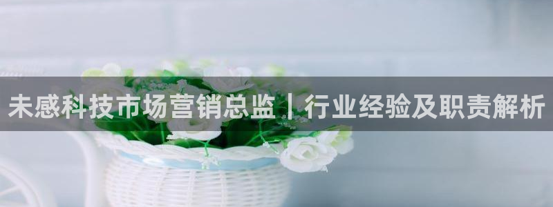 金年会手机版·(中国)官方网站-app下载