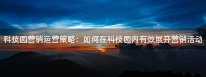 今年会金年会