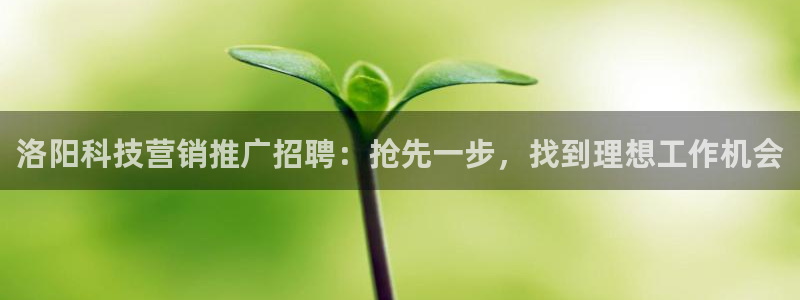 金年会体育app最新官网