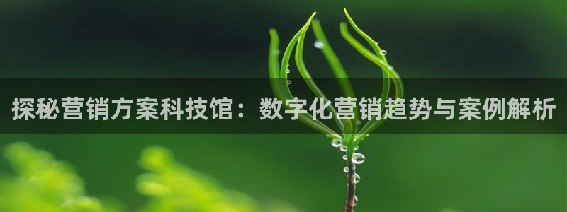 金年会电子游戏app官方入口网站