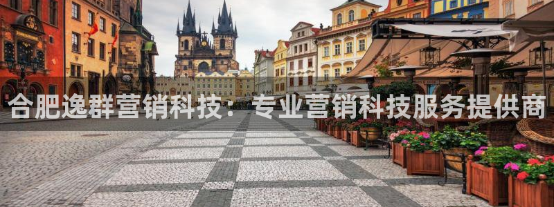 金年会手机版官方网站
