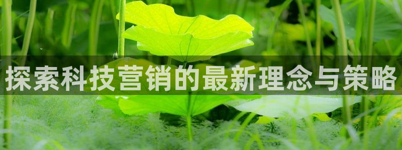 金年会金字招牌诚信至上|金年会首页