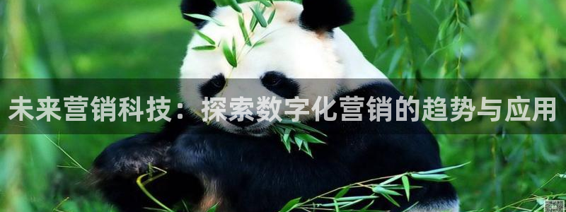 金年会体育app下载官网苹果版