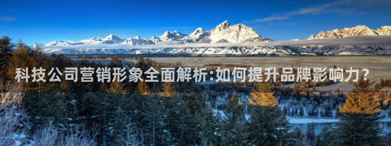 金年会官方下载