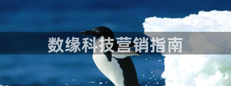 金年会电子