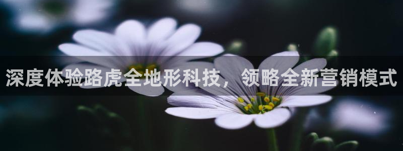 金年会赌博案