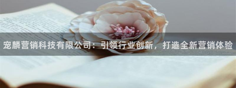 金年会体育官方平台下载