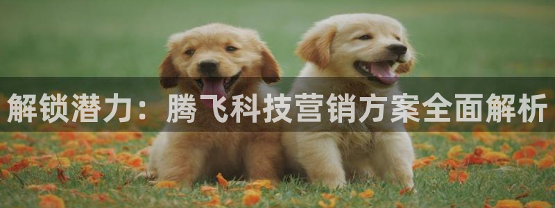 金年会App官方下载