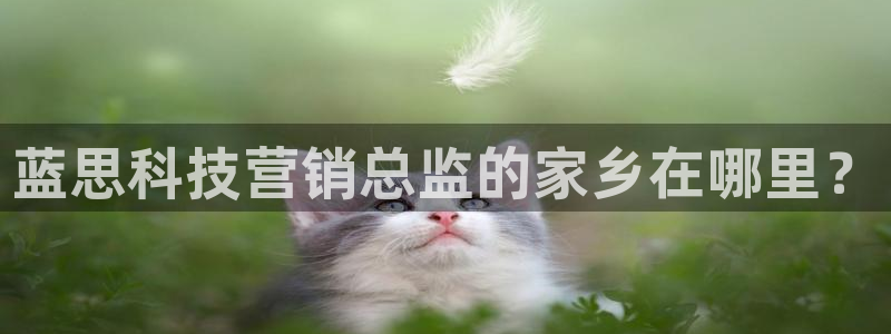 金年会赌博app平台可靠吗安全吗