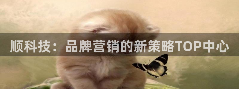 金年会赌博软件
