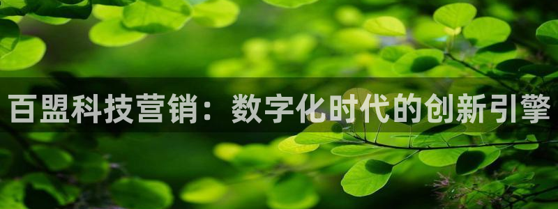 金年会网址