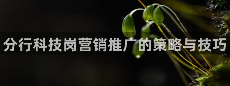 金年会体育官网是多少