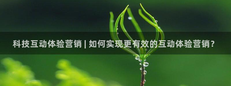 金年会下载软件