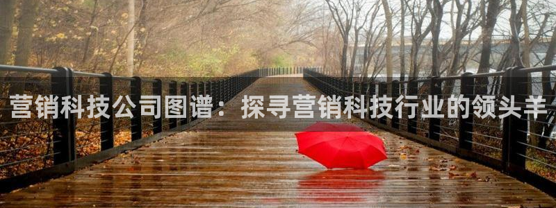 jinnianhui金年会世界杯