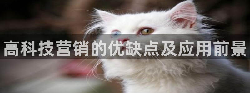 金年会官方下载