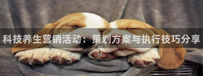 金年会app官网免费下载
