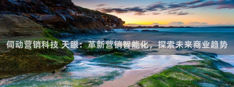 金年会app官方网站
