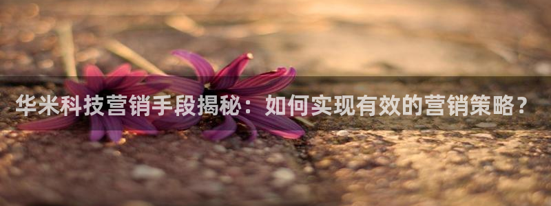 金年会提现不了