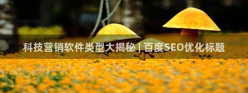 金年会官方体育