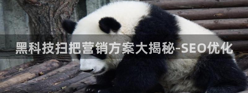 金年会网站入口