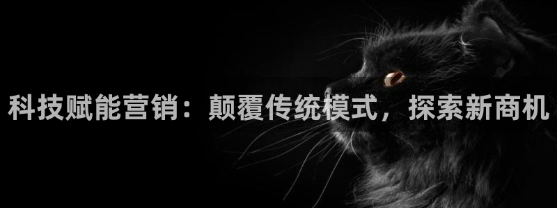 金年会赌博app平台可靠吗安全吗