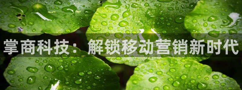 金年会下载链接