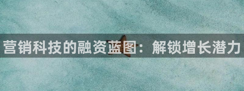 金年会体育查处