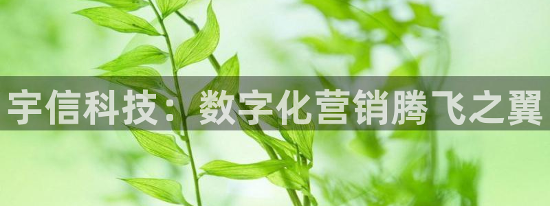 金年会网站事件后果