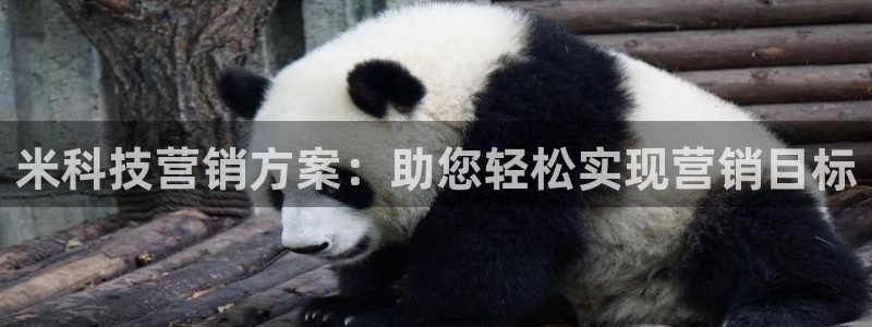 金年会入口网站