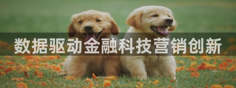 金年会体育在线登陆入口