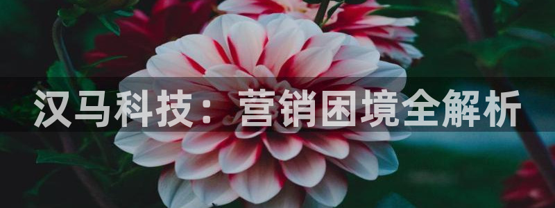 金年会体育app最新官网下载