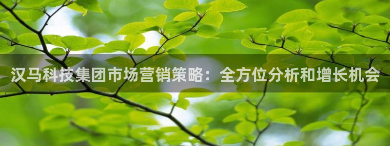 金年会体育网页版
