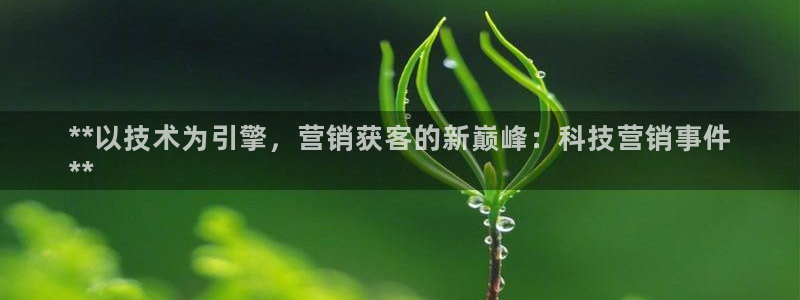 金年会qq群
