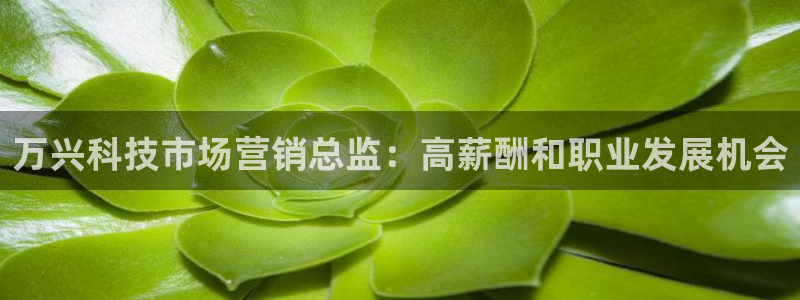 金年会体育app官网入口网址