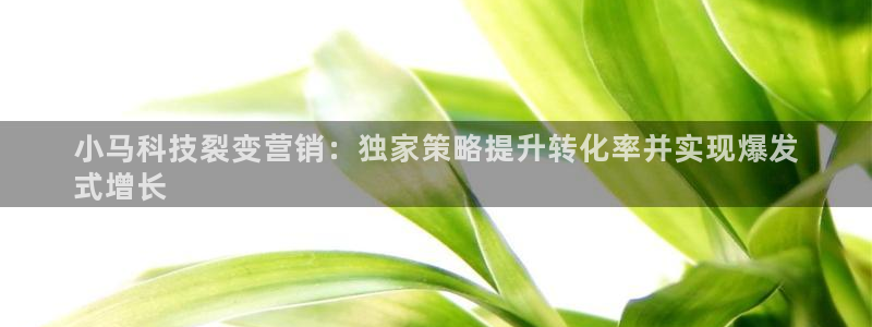 金年会网站入口官网
