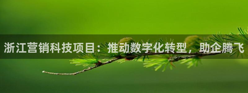 金年会官方在线入口网址是多少号