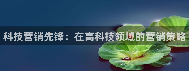 金年会入口
