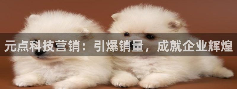 金年会体育app是干嘛的