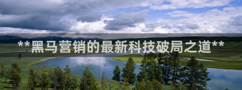 金年会pg麻将胡了几张牌