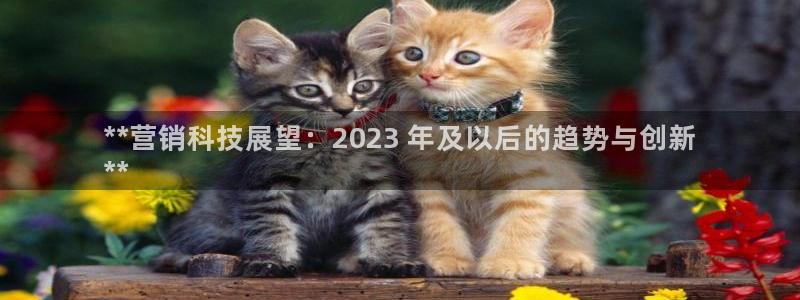 金年会平台真他妈坑人