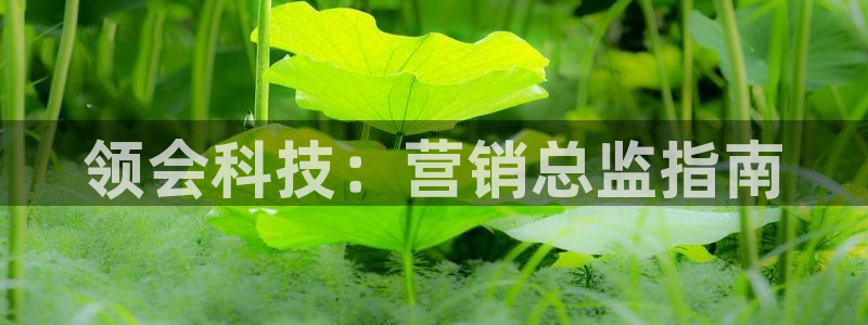 金年会金字招牌诚信人口