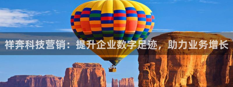 金年会电子官网下载
