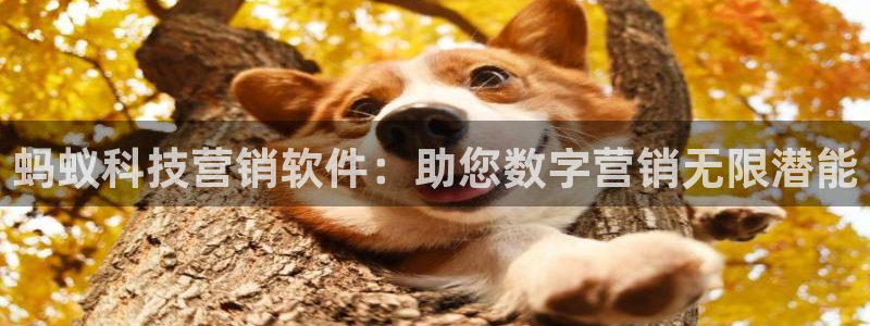 金年会体育如何