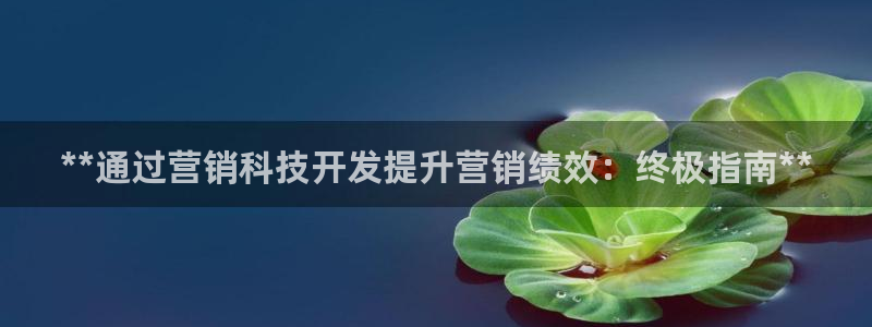 金年会ivp