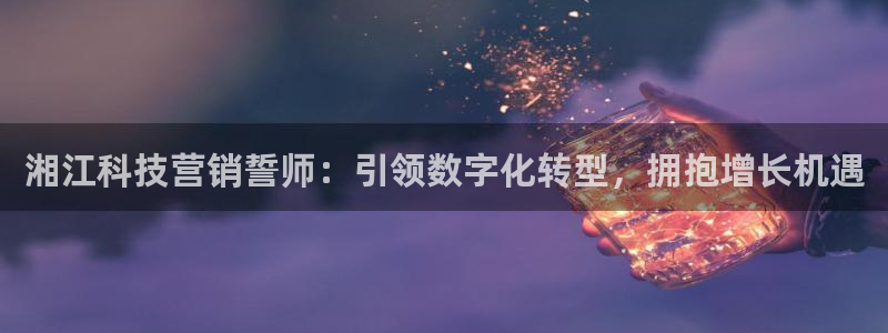 金年会电子游戏