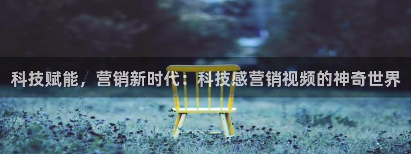 金年会网站洗黑钱