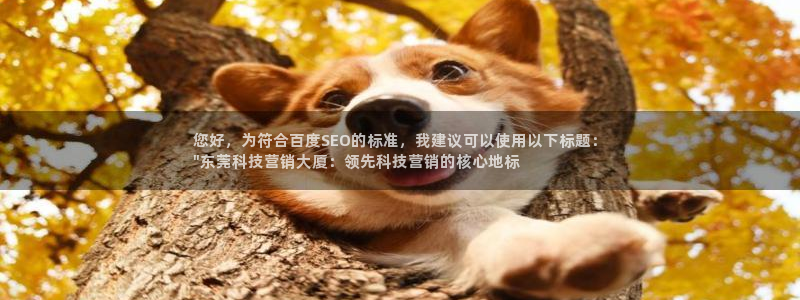 金年会体育有限公司