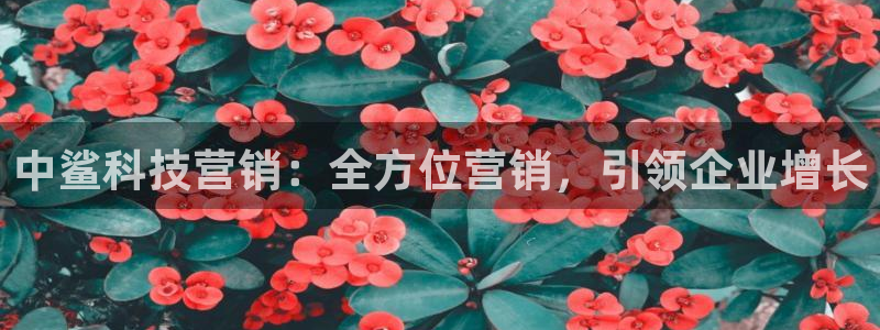金年会mg官方在线电子游戏